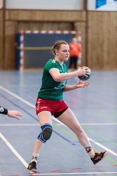 Bild 277 - F HSG Kre/Mue - HFF Munkbrarup : Ergebnis: 49:20